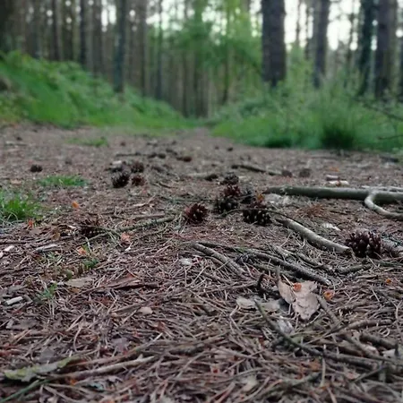 Casa El Rey 12 - Buenos Aires Y Figueras Ar-1419-as דירה Valbona (Asturias)