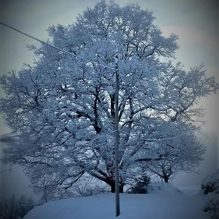 דירה Casa El Rey 12 - Buenos Aires Y Figueras Ar-1419-as *