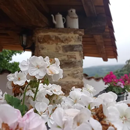 Casa El Rey 12 - Buenos Aires Y Figueras Ar-1419-as Valbona (Asturias)