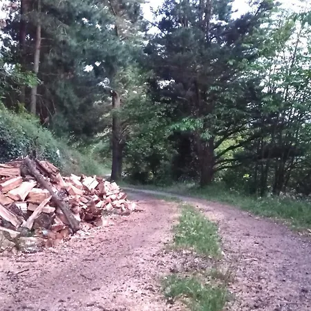 Casa El Rey 12 - Buenos Aires Y Figueras Ar-1419-as דירה *