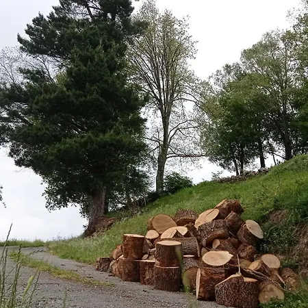 Casa El Rey 12 - Buenos Aires Y Figueras Ar-1419-as דירה *