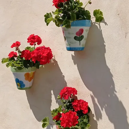 Casa El Rey 12 - Buenos Aires Y Figueras Ar-1419-as Apartmán